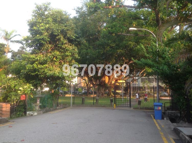 Kuo Chuan Avenue (D15), Semi-Detached #133974622